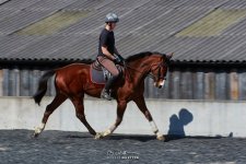 test-069-Chris-Stables.jpg