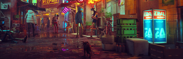 Stray
