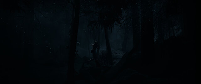 Until Dawn