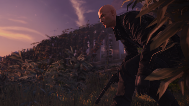 Hitman 2