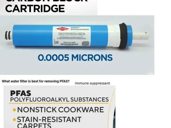 demo user adds a classroom